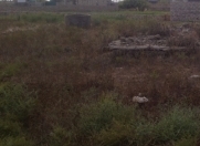 Satılır 12 sot torpaq Nardaran