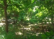 Satılır 8 sot torpaq 8 km