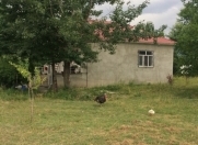 Satılır 2 otaqlı 99 m2 bağ evi Qəbələ