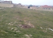 Satılır 8 sot torpaq Xocəsən