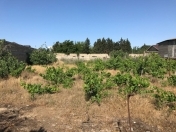 Satılır 24 sot torpaq Albalı