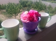 İcarəyə verilir 4 otaqlı 40 m2 həyət evi Naftalan