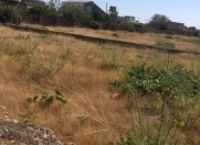 Satılır 12 sot torpaq Albalı