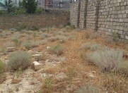 Satılır 4 sot torpaq Badamdar