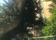 İcarəyə verilir 3 otaqlı 101 m2 köhnə tikili Gənclik m.