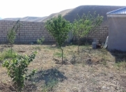 Satılır 8 sot torpaq Şabran