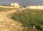 Satılır 3 sot torpaq Mehdiabad