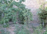 Satılır 3 otaqlı 200 m2 həyət evi AMAY