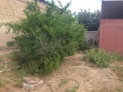 Satılır 3 sot torpaq Biləcəri