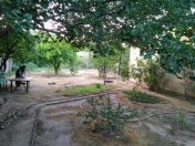 Satılır 4 otaqlı 80 m2 həyət evi İctimai telekanalı