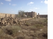 Satılır 11 sot torpaq Zirə