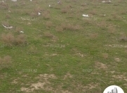 Satılır 2 sot torpaq Biləcəri