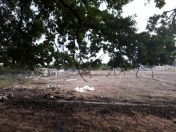 Satılır 6 sot torpaq Xaçmaz