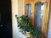 Satılır 1 otaqlı 34 m2 köhnə tikili Y.Günəşli