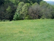 Satılır 12 sot torpaq Quba