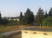 Satılır 700 sot torpaq Savalan