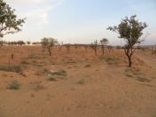 Satılır 8 sot torpaq Saray