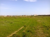 Satılır 20 sot torpaq Saray