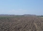 Satılır 6000 sot torpaq Goranboy