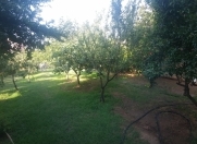 Satılır 20 sot torpaq Badamdar