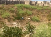 Satılır 9 sot torpaq Dübəndi bağları