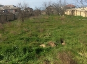 Satılır 3 otaqlı 1000 m2 bağ evi Novxanı