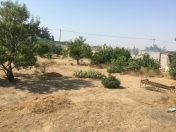 Satılır 12 sot torpaq Albalı