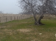 Satılır 11 sot torpaq Nardaran