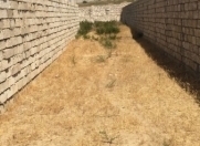 Satılır 12 sot torpaq Bilgəh