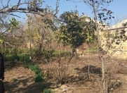 Satılır 6 sot torpaq Saray