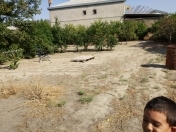 Satılır 10 sot torpaq Sumqayıt