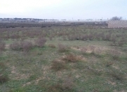 Satılır 6 sot torpaq Qala