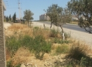 Satılır 6 sot torpaq Şüvəlan