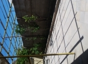 Satılır 6 otaqlı 190 m2 həyət evi Lökbatan