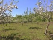 Satılır 10 sot torpaq İsmayıllı