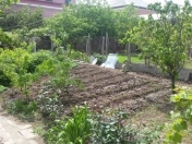 Satılır 7 sot torpaq Sulutəpə