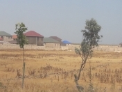 Satılır 3 sot torpaq Məhəmmədli