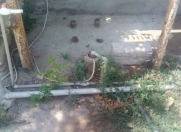 Satılır 6 otaqlı 8 m2 həyət evi Mərdəkan