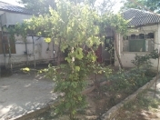 Satılır 7 otaqlı 1200 m2 həyət evi Şabran