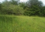 Satılır 100 sot torpaq İsmayıllı