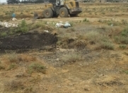 Satılır 100 sot torpaq Məhəmmədli