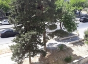 Satılır 2 otaqlı 60 m2 köhnə tikili Bakı Dövlət Universiteti