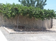 İcarəyə verilir 3 otaqlı 70 m2 bağ evi Şüvəlan Park ticarət mərkəzi