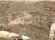 Satılır 3 sot torpaq Bahar