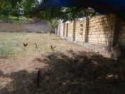 Satılır 22 sot torpaq Göygöl