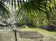 Satılır 6 otaqlı 500 m2 həyət evi Gəncə