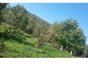 Satılır 15 sot torpaq Quba