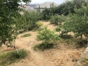 Satılır 12 sot torpaq Sulutəpə