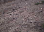 Satılır 1000 sot torpaq Qaradağ r.