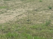 Satılır 10 sot torpaq Mehdiabad